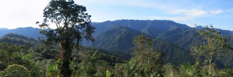 Mindo, Pichincha, Ecuador: los diferentes paisajes determinan diferentes funciones ecológicas.
