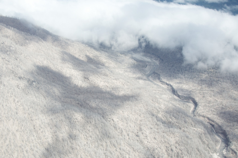 Bosque cubierto de cenizas causadas por incendios. Las cenizas son transportadas por el viento y la lluvia hacia los ambientes acuáticos, generando diversos impactos en el ecosistema.