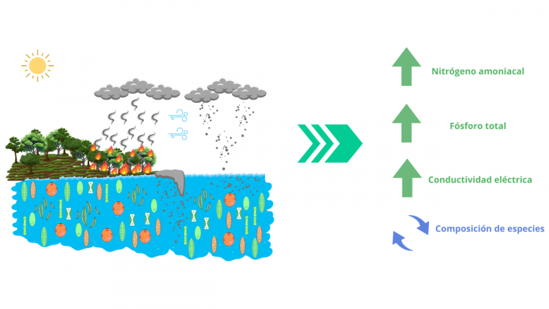 Esquema de contaminación por cenizas
