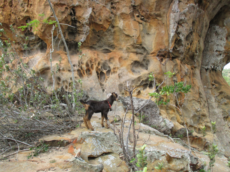 Serra do Catimbau