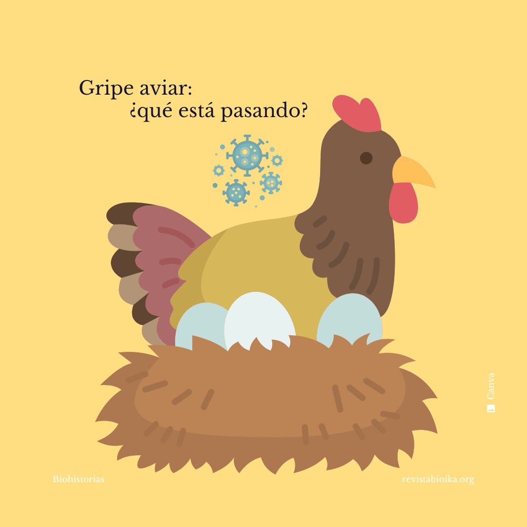 Biohistoria: gripe aviar Biohistoria: gripe aviar