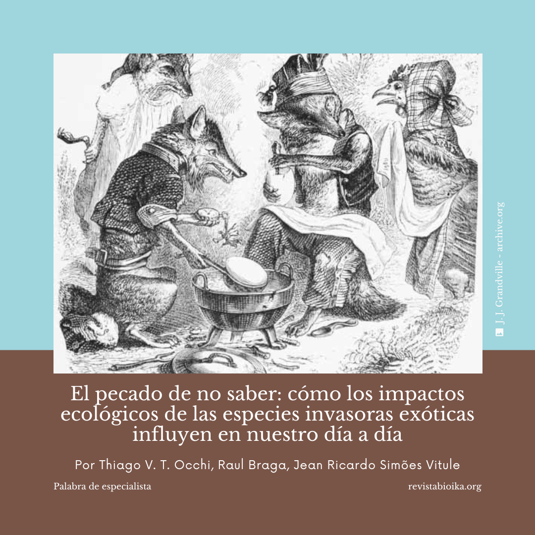 Biohistoria: el pecado de no saber Biohistoria: el pecado de no saber
