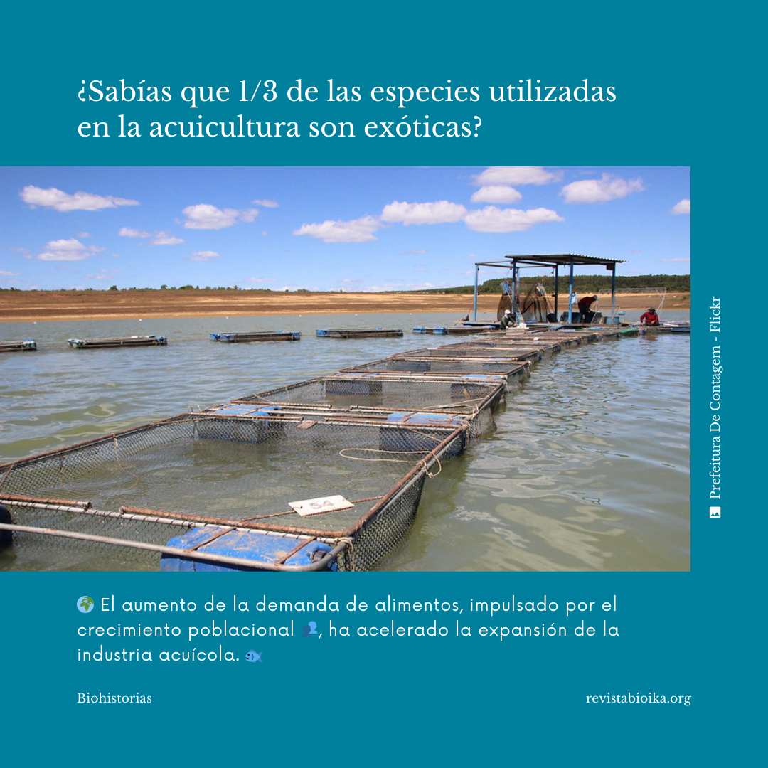Biohistoria (1 de 3): ¿Sabías que 1/3 de las especies utilizadas en la acuitultura son exóticas? Biohistoria (1 de 3): ¿Sabías que 1/3 de las especies utilizadas en la acuitultura son exóticas?