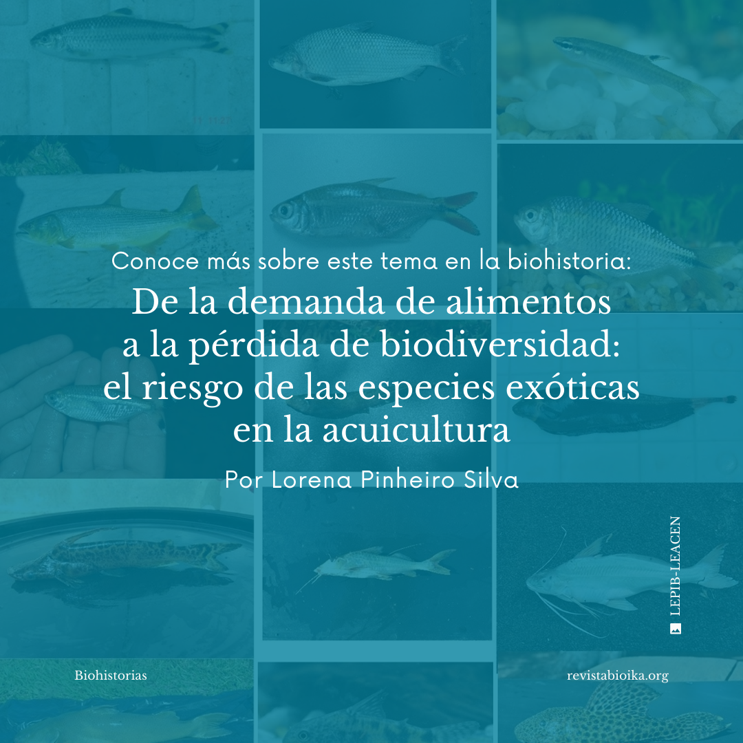 Biohistoria (3 de 3): ¿Sabías que 1/3 de las especies utilizadas en la acuitultura son exóticas? Biohistoria (3 de 3): ¿Sabías que 1/3 de las especies utilizadas en la acuitultura son exóticas?