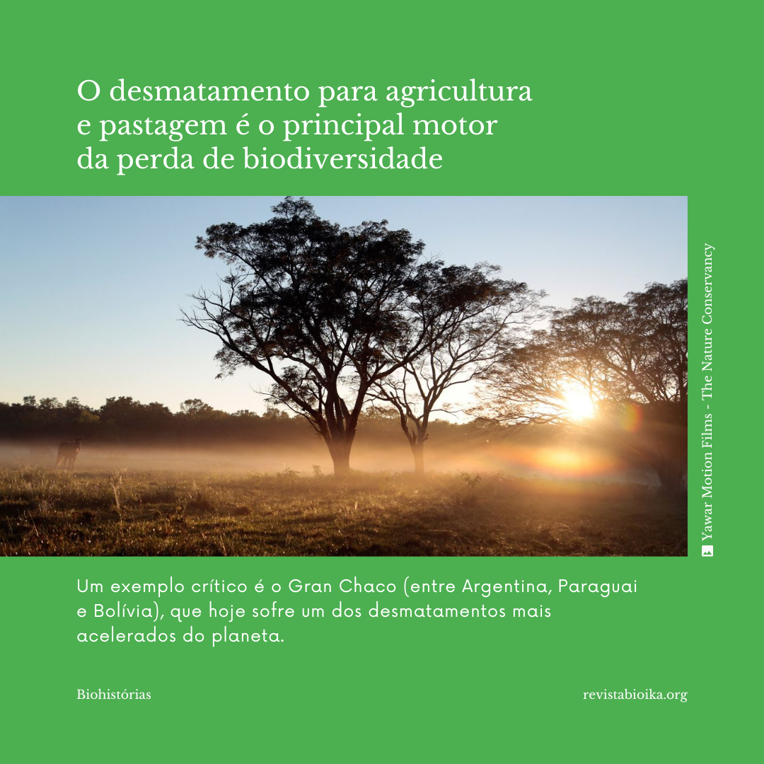 Biohistoria: Informe Planeta Vivo Biohistoria: Informe Planeta Vivo