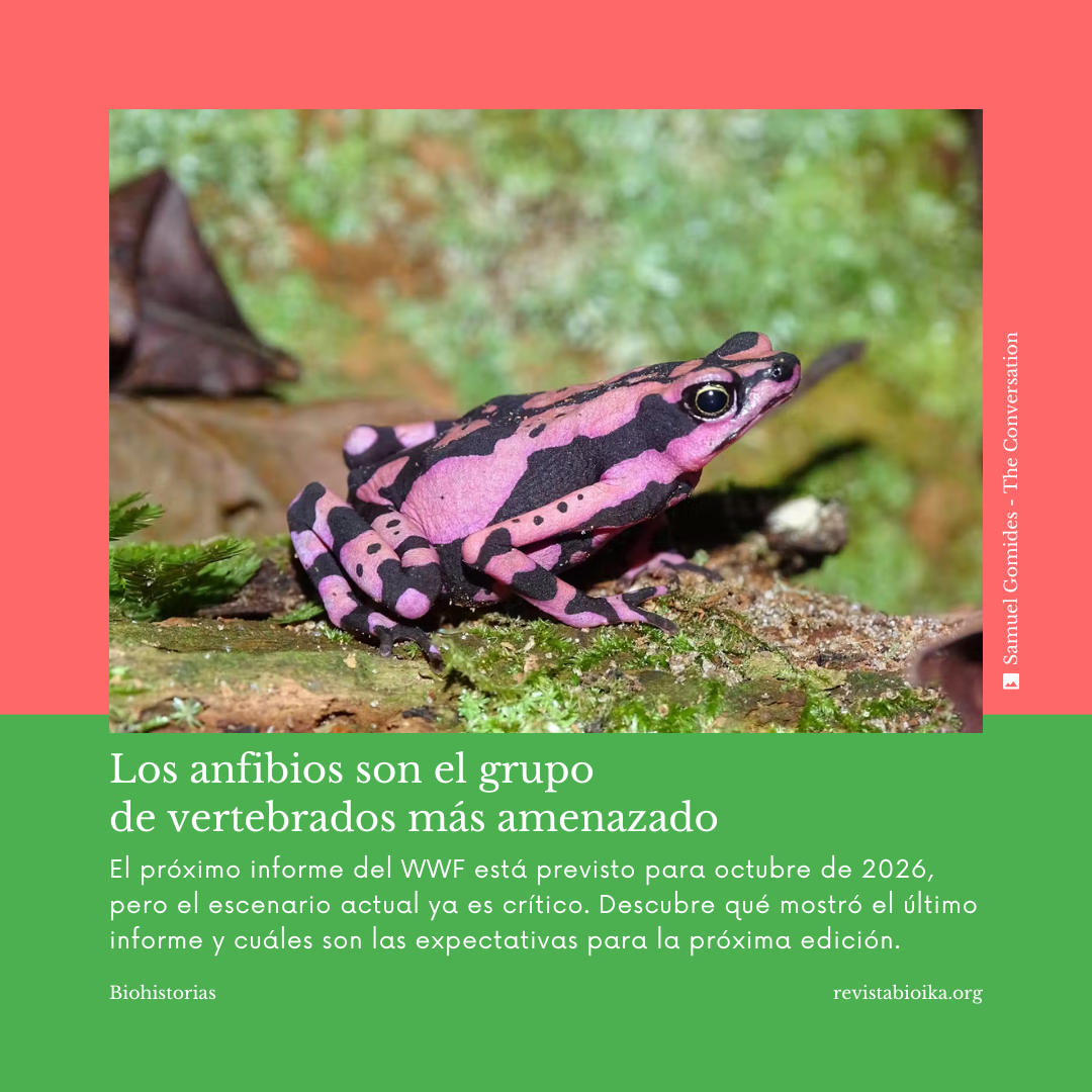 Biohistoria: Informe Planeta Vivo Biohistoria: Informe Planeta Vivo