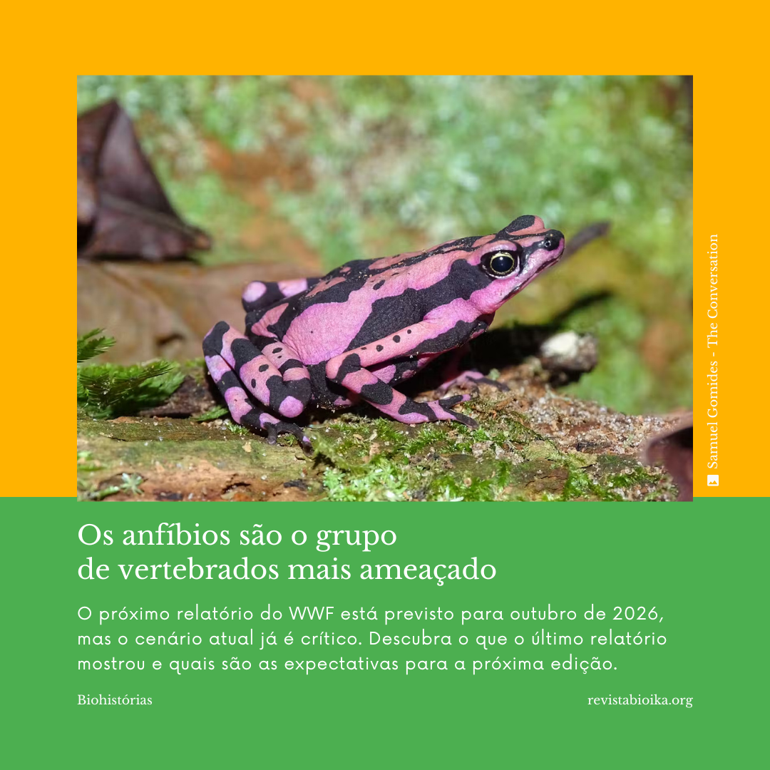 Biohistoria: Informe Planeta Vivo Biohistoria: Informe Planeta Vivo