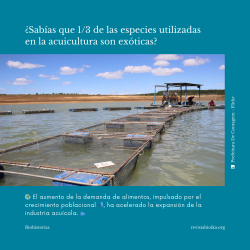 Biohistoria (1 de 3): ¿Sabías que 1/3 de las especies utilizadas en la acuitultura son exóticas?