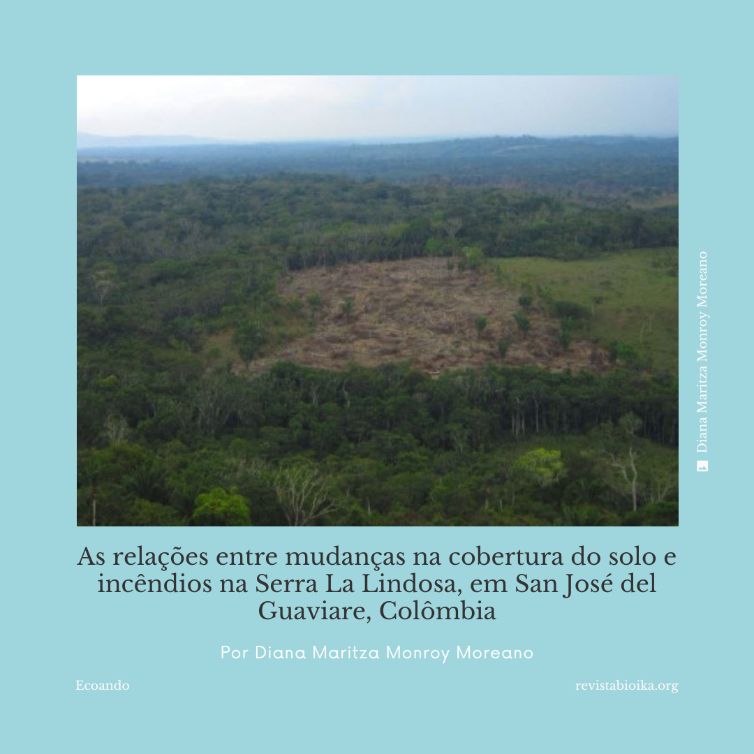 Post: As relações entre mudanças na cobertura do solo e incêndios na Serra La Lindosa, em San José del Guaviare, Colômbia