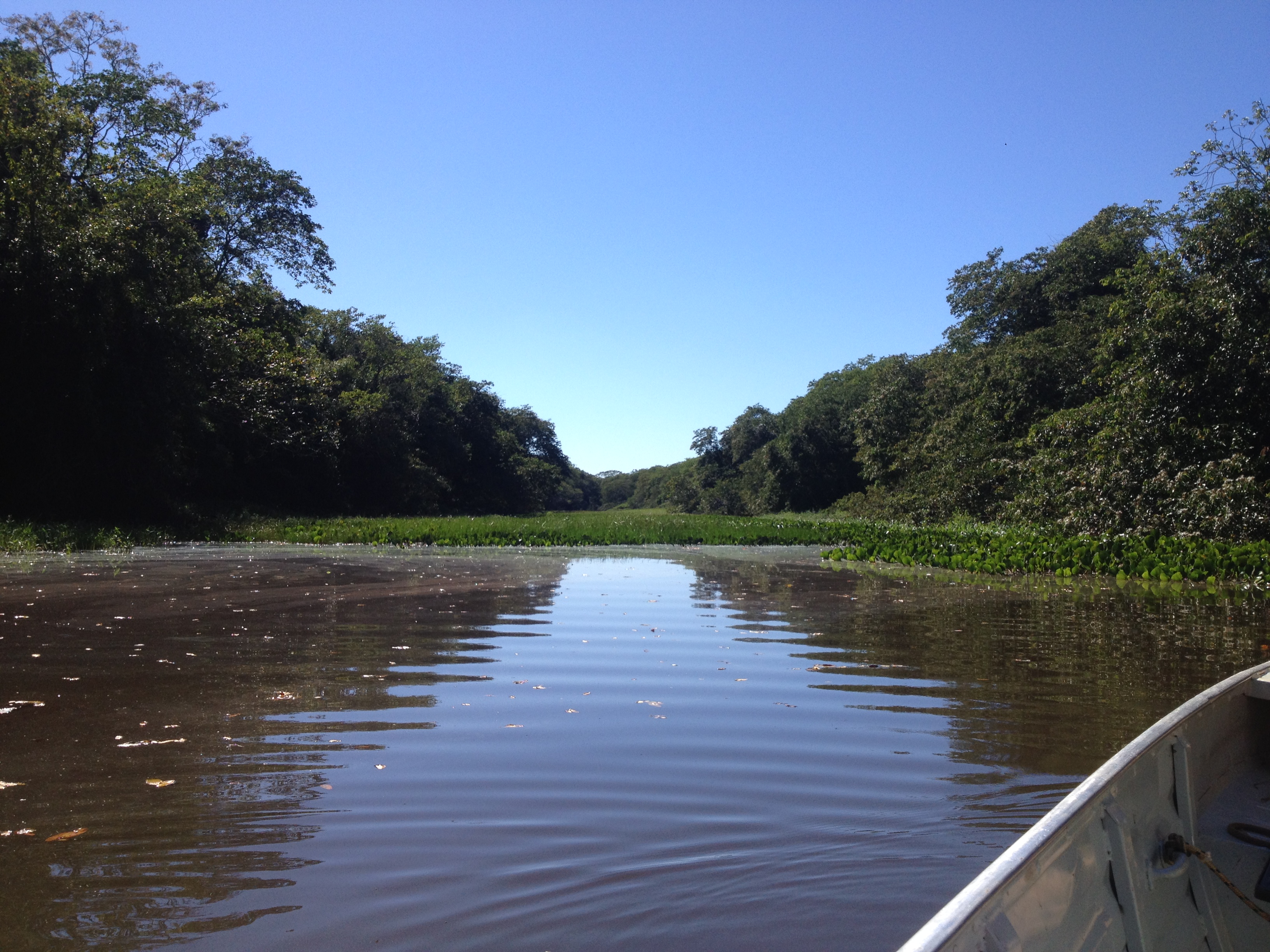 Planície de inundação do alto Rio Paraná.