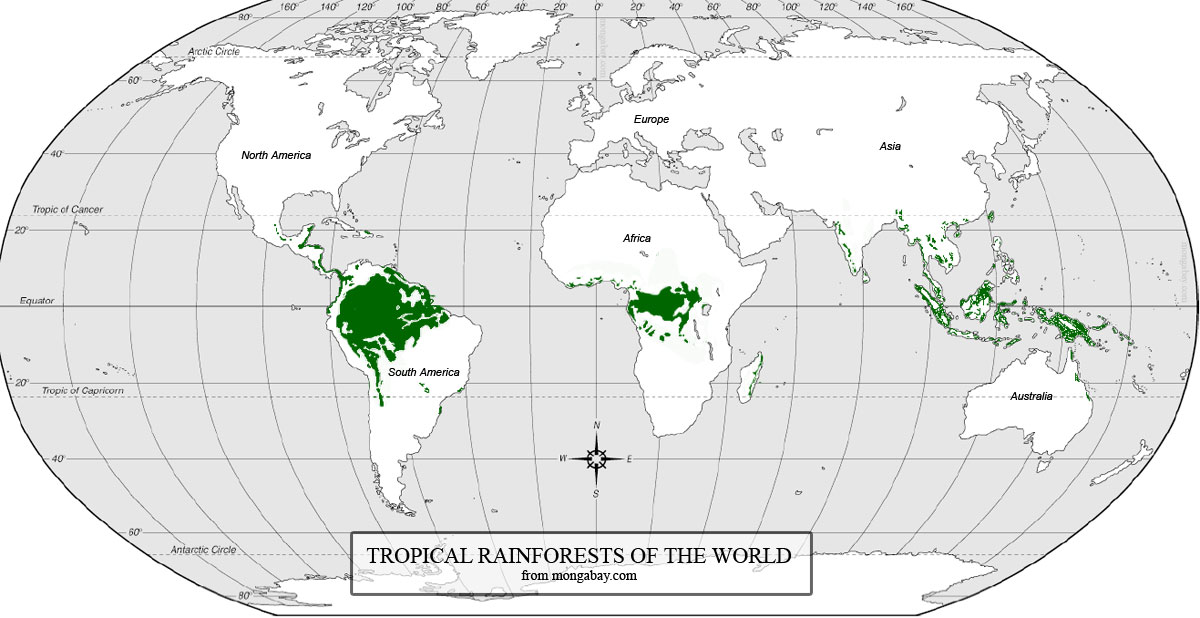 Mapa de distribución de bosques tropicales en el mundo