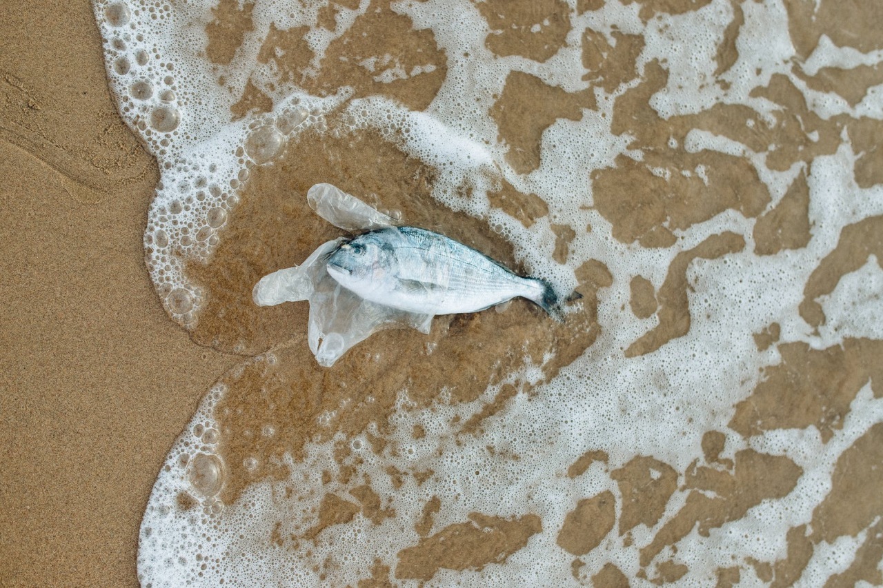 Pez muerto de un guante de plástico arrojado al océano