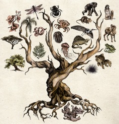 El árbol de la vida de Darwin