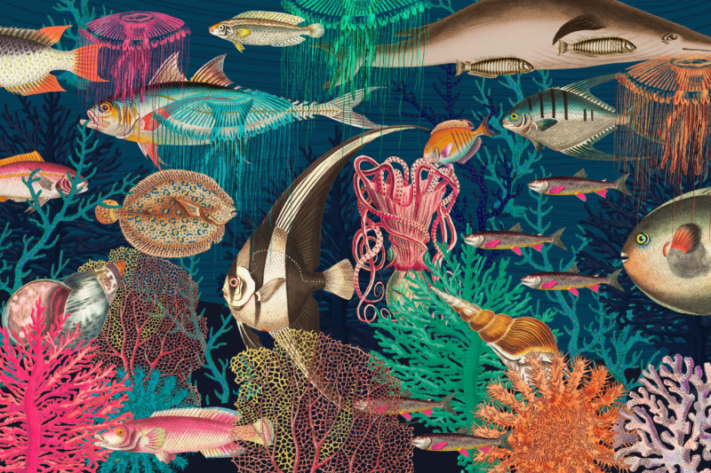 Los ambientes de agua dulce se caracterizan por tener una gran cantidad de especies. Ilustración con collage imaginario que representa la gran diversidad de especies de peces y otros animales acuáticos. 